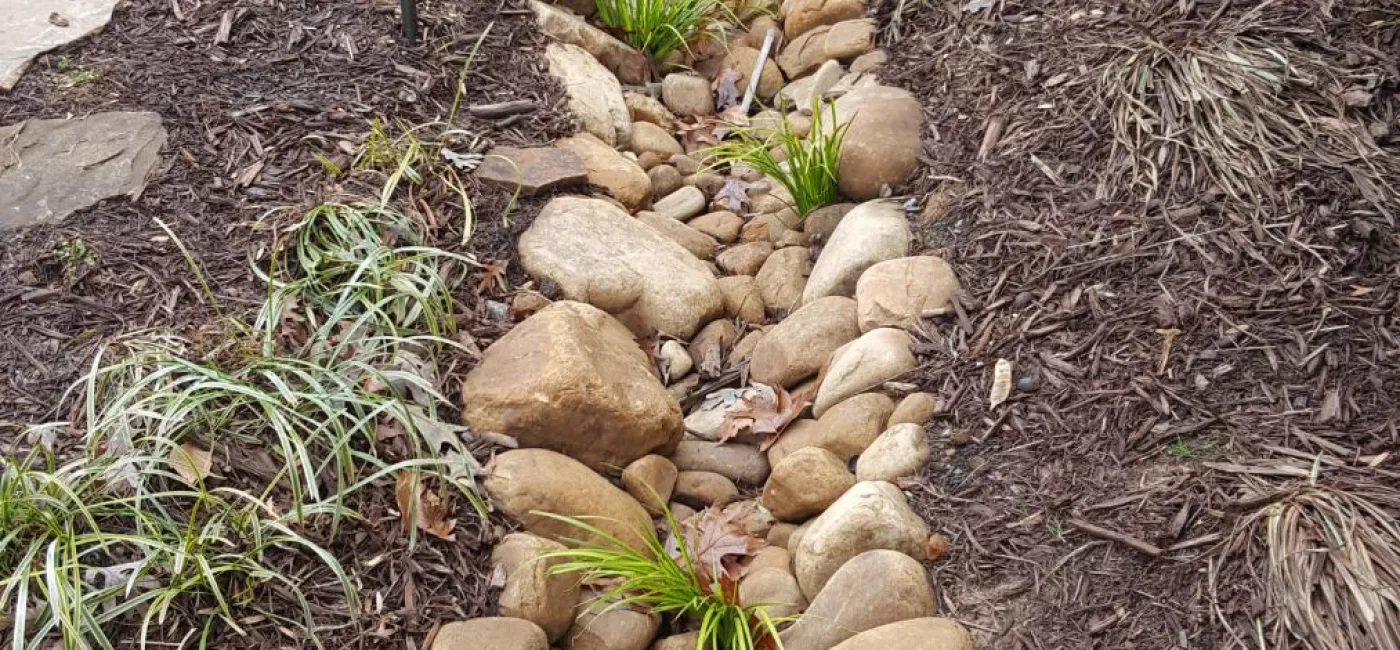 Narrow deco creek bed with vegitation