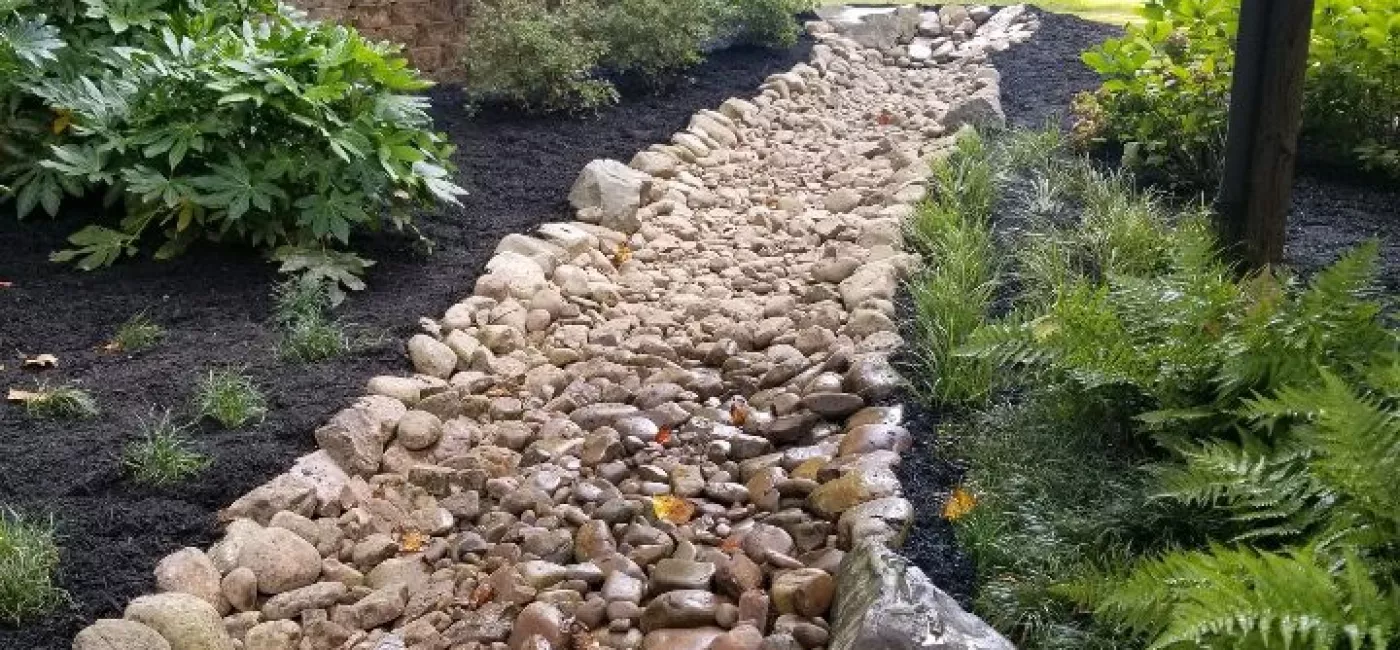 Deco river rock creek bed through landscape, Ferns & Fatsia