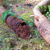 We Examine Your Drainage System and Your Property